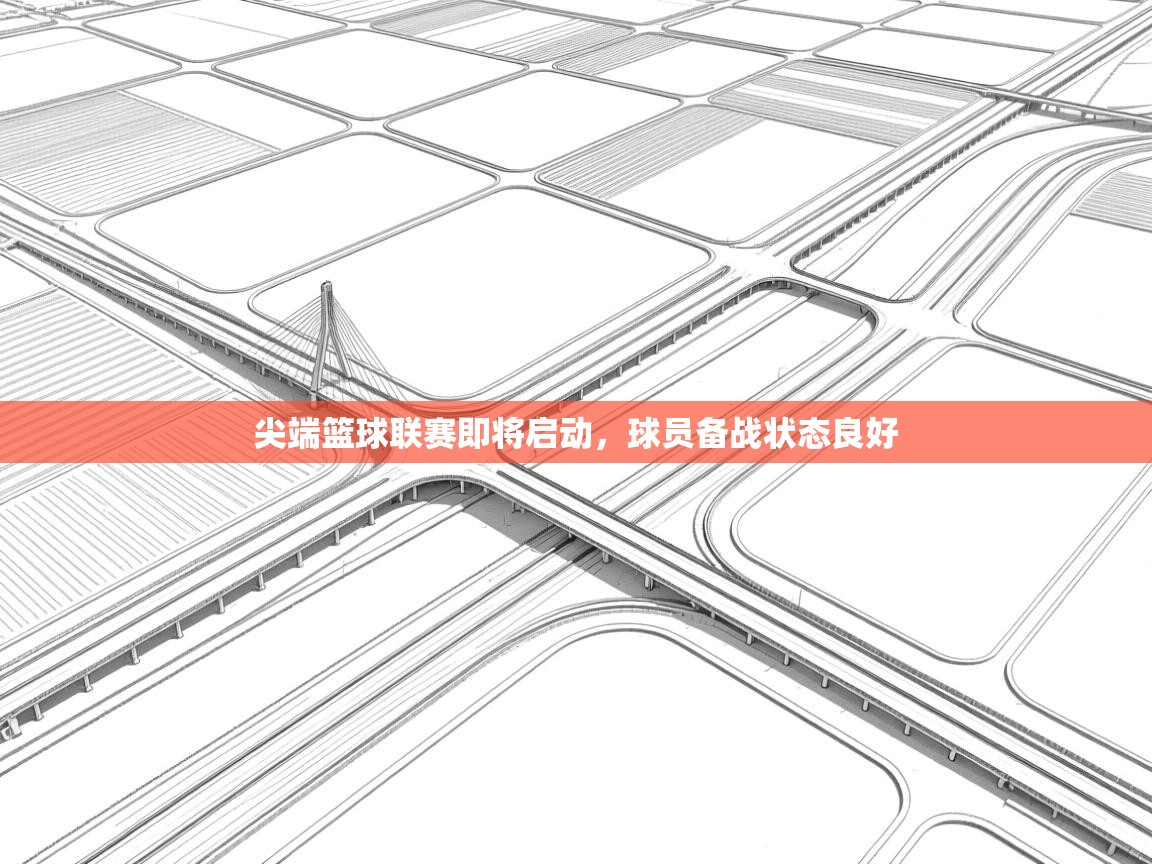 尖端篮球联赛即将启动，球员备战状态良好  第1张