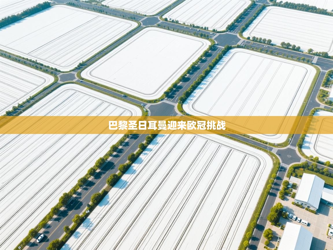 巴黎圣日耳曼迎来欧冠挑战  第2张